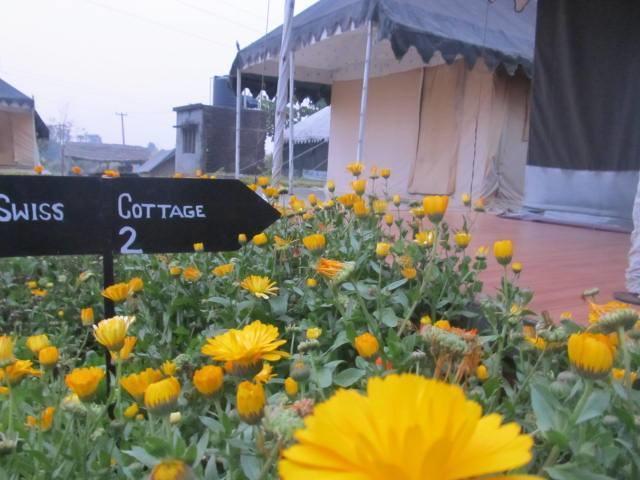 Derra Camp And Resort Jhājra Εξωτερικό φωτογραφία